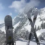 Purplus * Vorderstoder