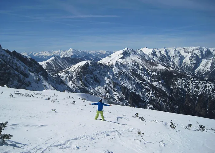 Semesterbostad Purplus