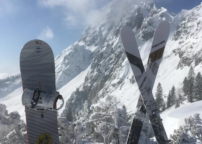 Purplus * Vorderstoder