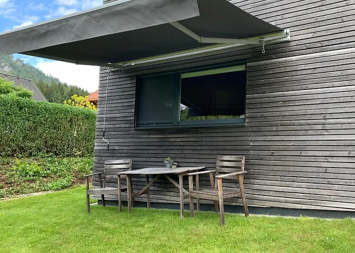 Purplus Vorderstoder